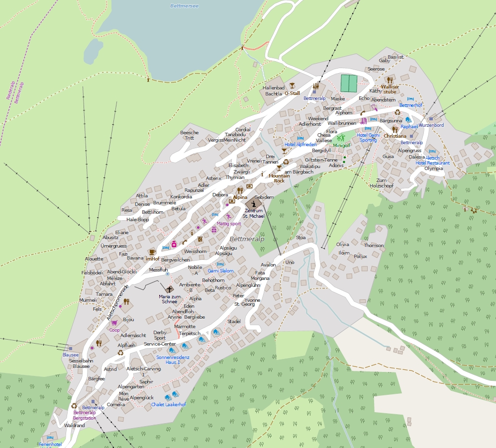 karte hotels bettmeralp karte bettmeralp